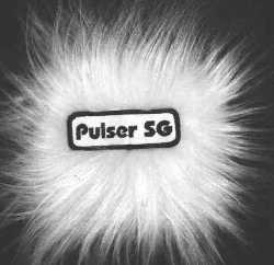Pulsers Puschel-Cover
